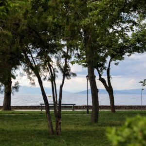 Java e Evropës në Pogradec